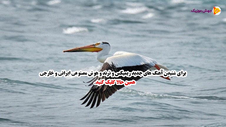 دانلود آهنگ بام مهربونی تو از همه بیشتر قدرمو میدونی از مجید رضوی